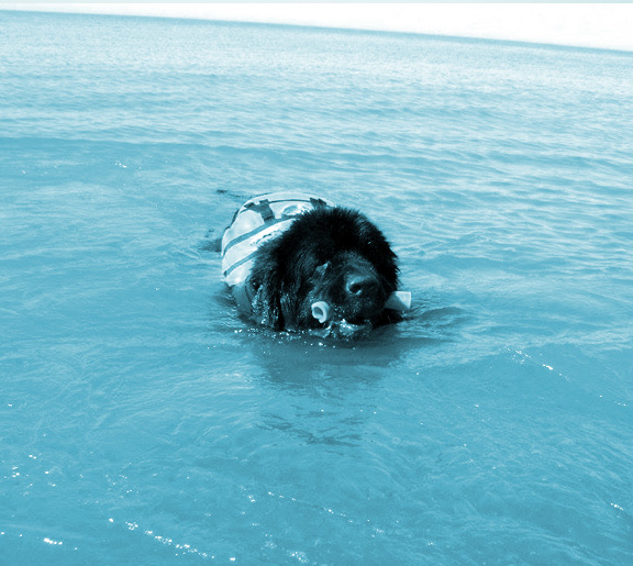 terranova y agua