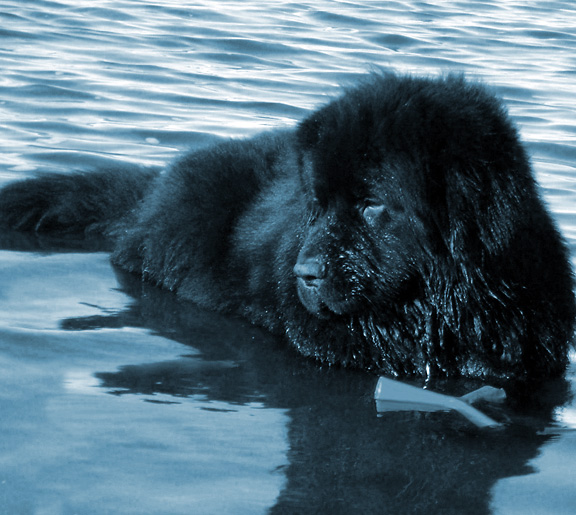 terranova y agua